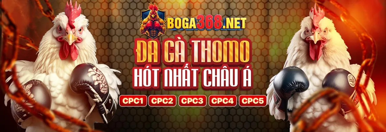 Đội ngũ hỗ trợ khách hàng chuyên nghiệp của 188v8 nhà cái